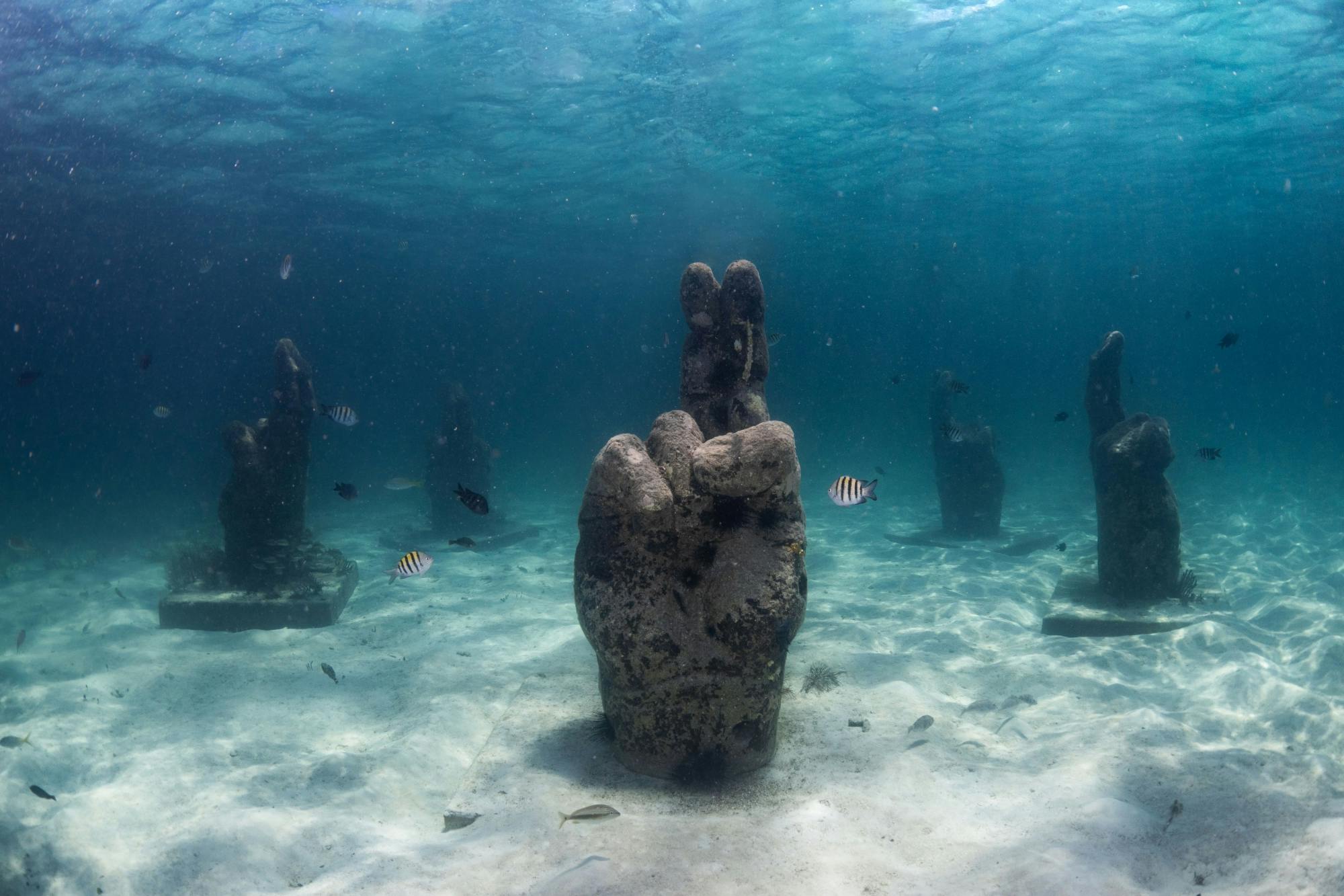 Nat Geo Day Tour: Unveiling the Importance of Cancun’s Reef Restoration