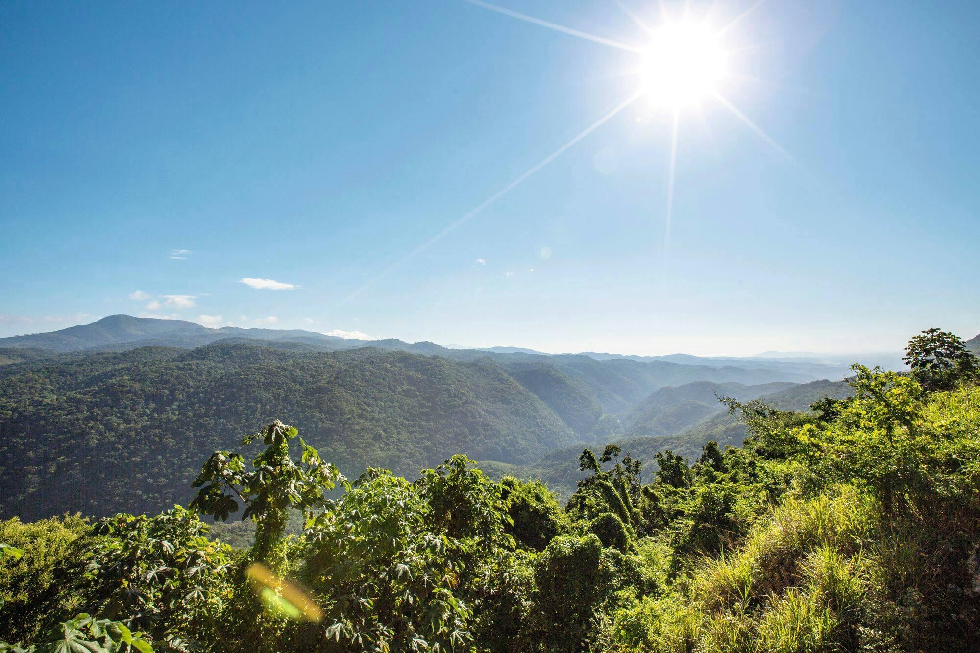 Coffee farm hike through Jamaica’s Blue Mountains with brunch