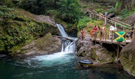 Coffee farm hike through Jamaica’s Blue Mountains with brunch