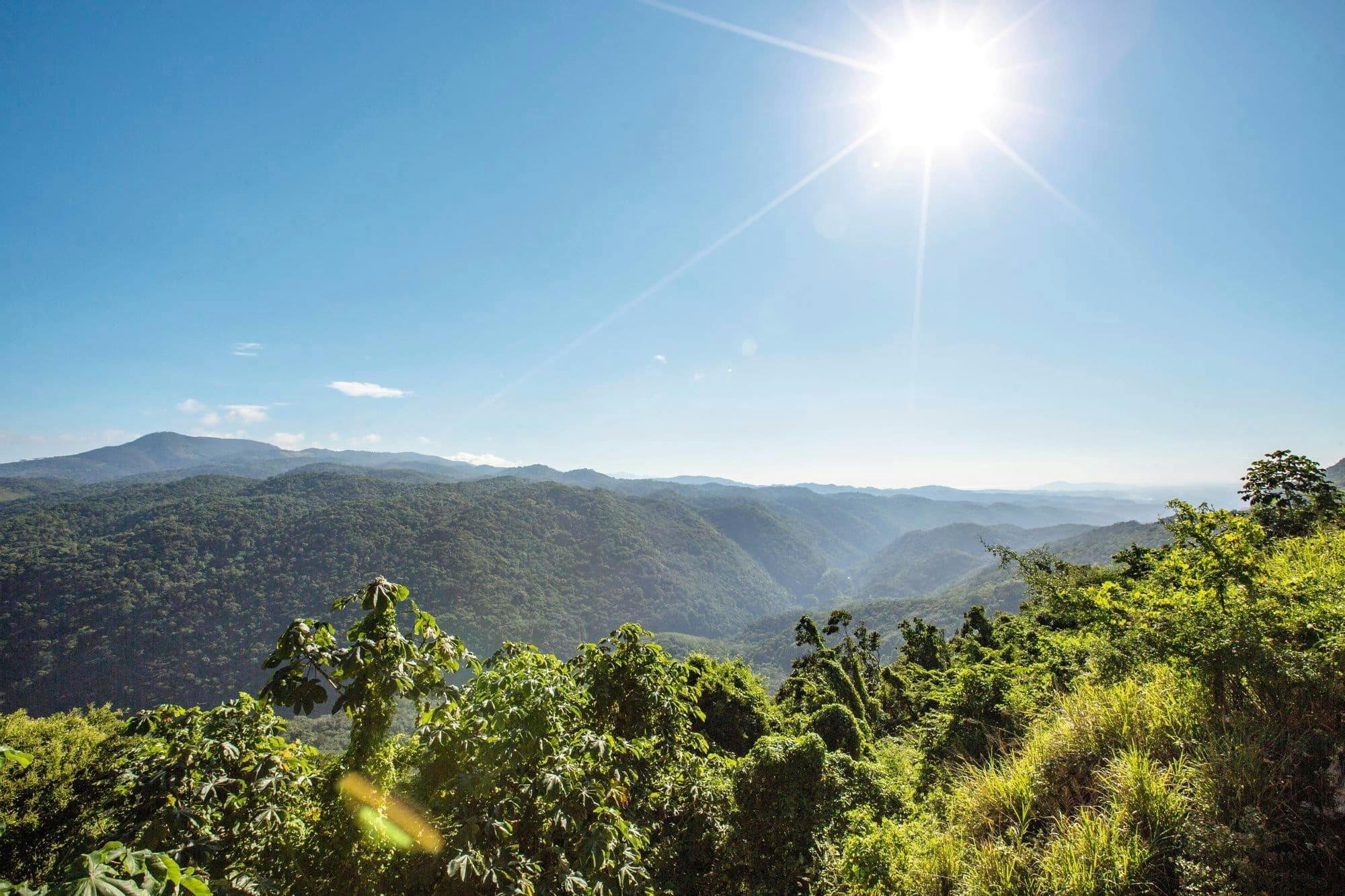 Coffee farm hike through Jamaica’s Blue Mountains with brunch