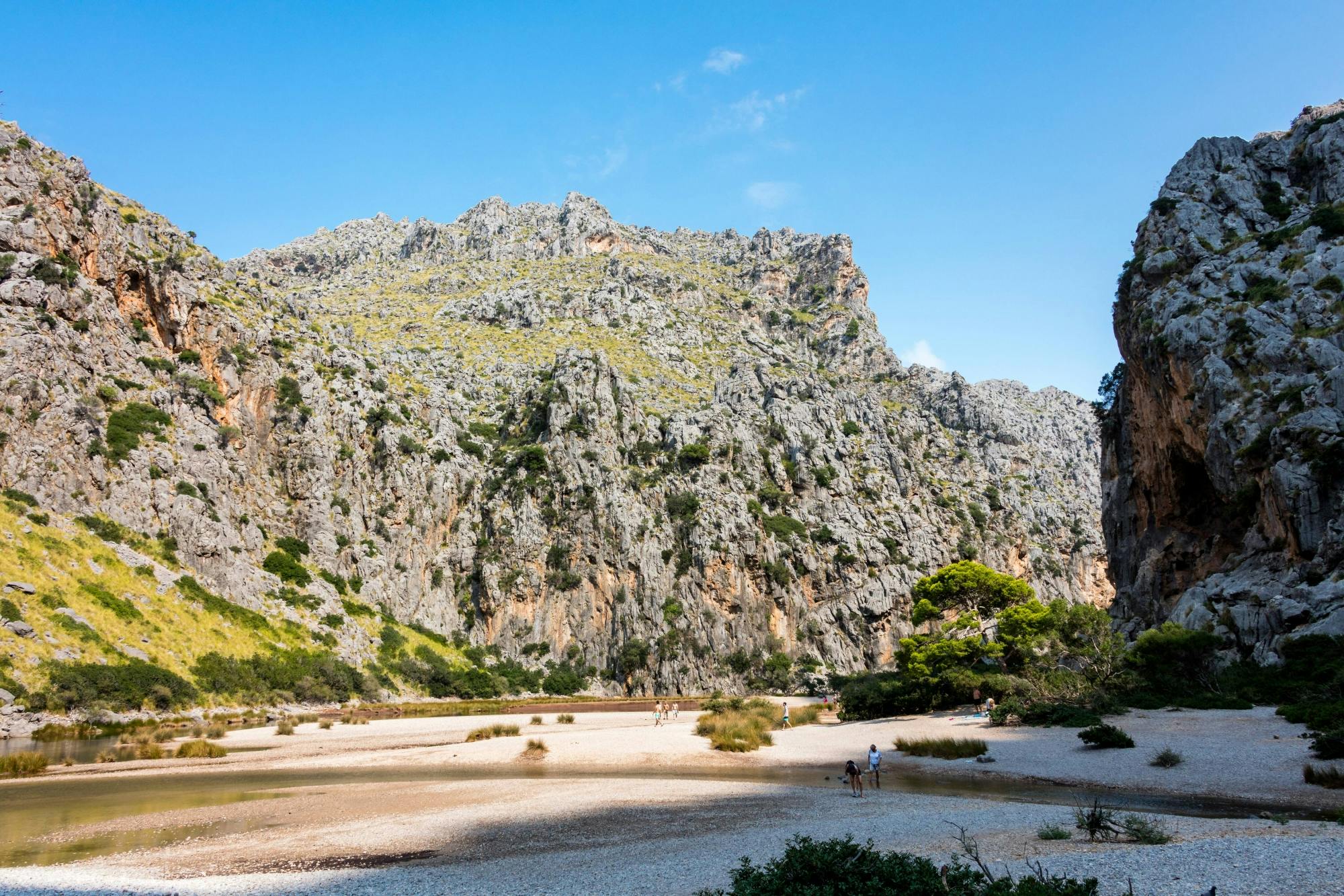 Majorca full-day guided island tour in Czech