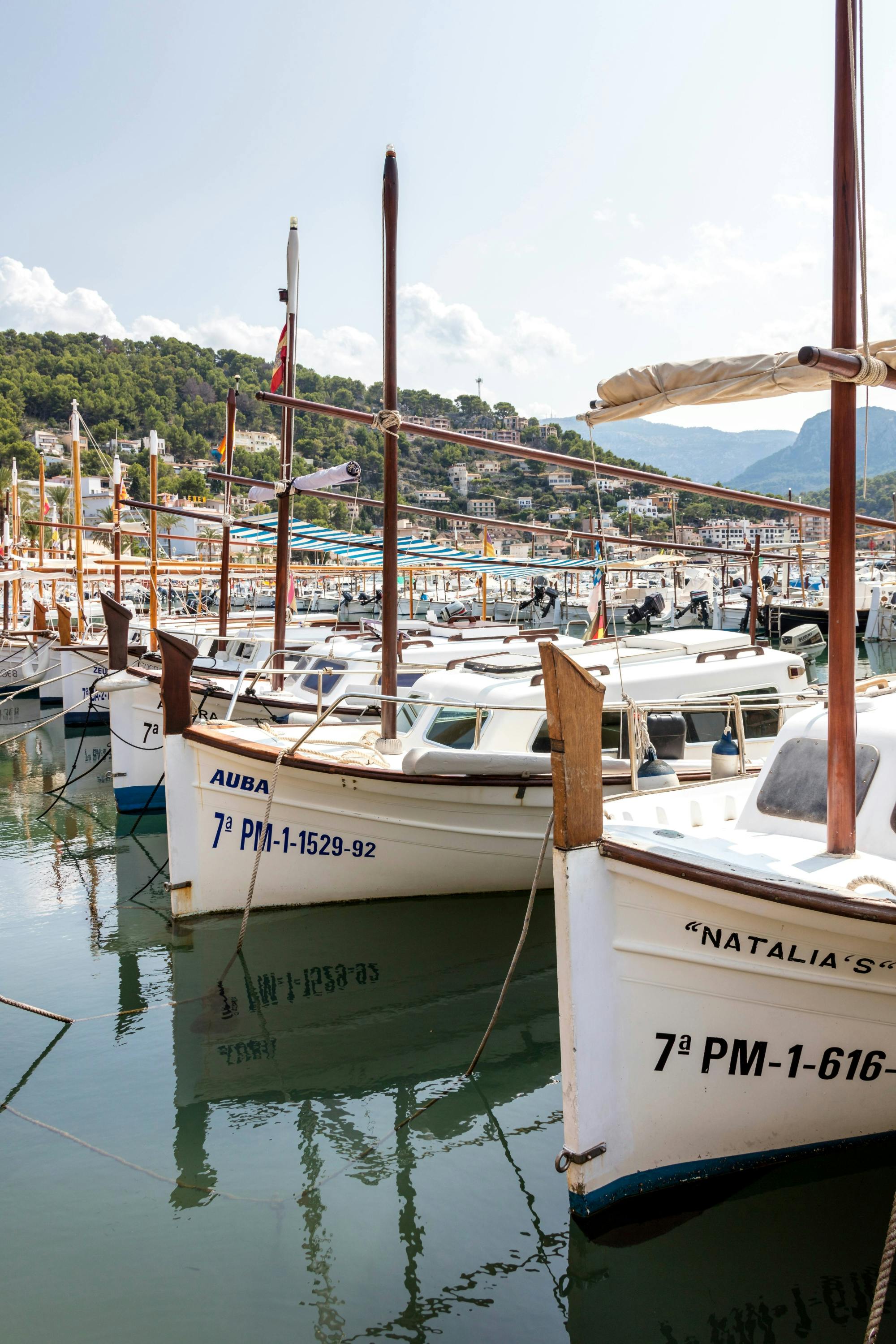 Majorca full-day guided island tour in Czech