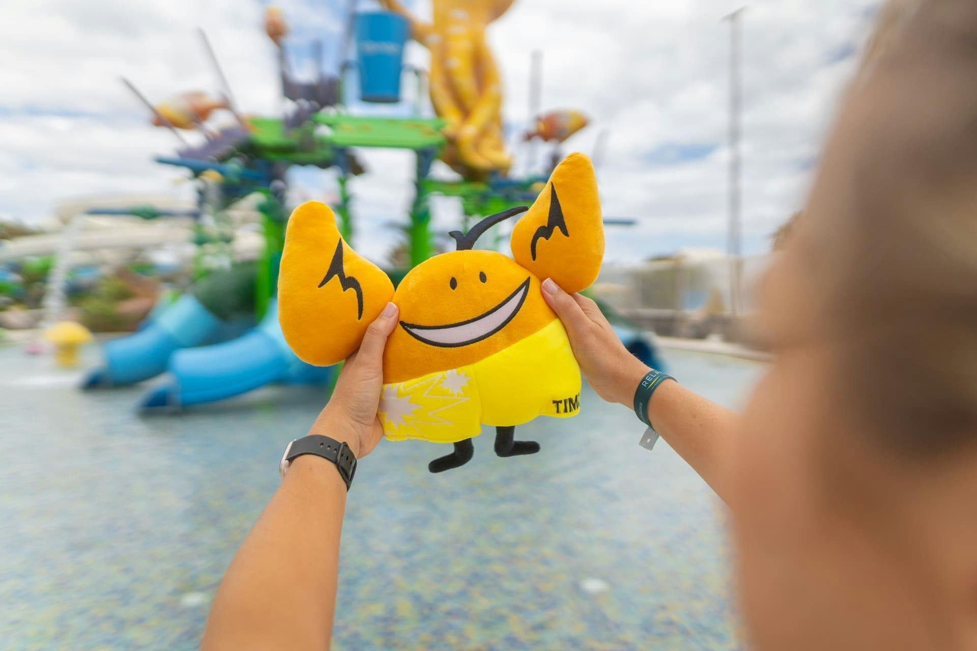 Aqualava Waterpark with Transfer