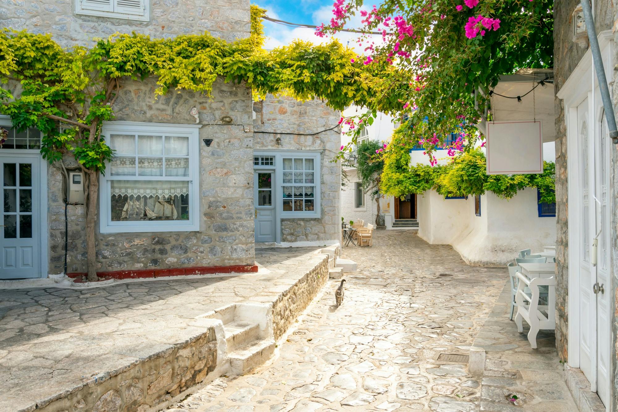 Hydra Island boat trip including a guided tour of the town