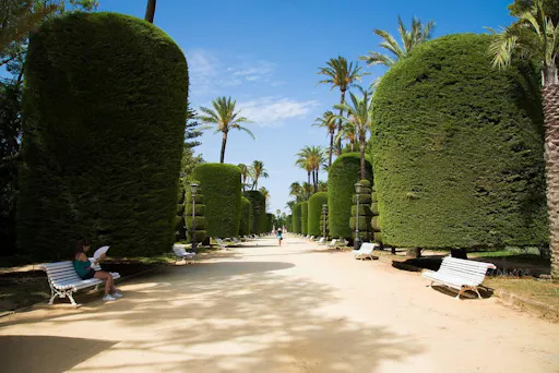 Cadiz Half-day Guided Tour