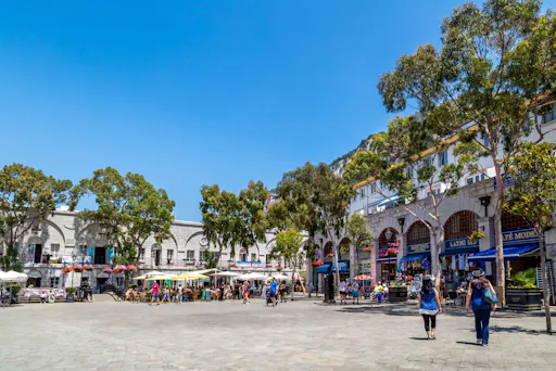 Rock of Gibraltar Tour with Dolphin Watching Cruise