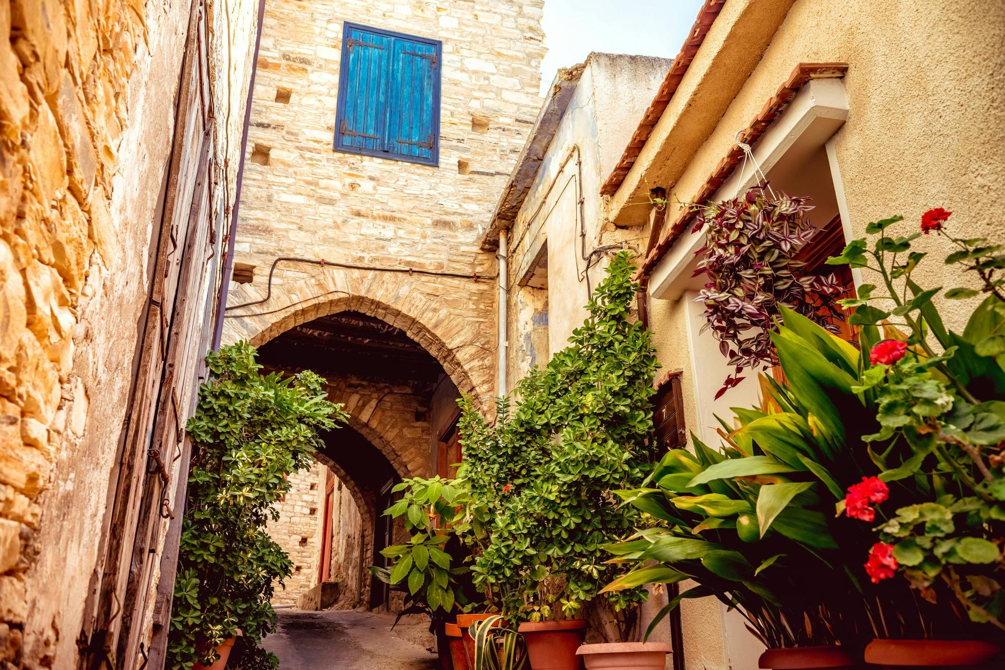 Full-day guided tour of Fikardou, Machairas and Lefkara