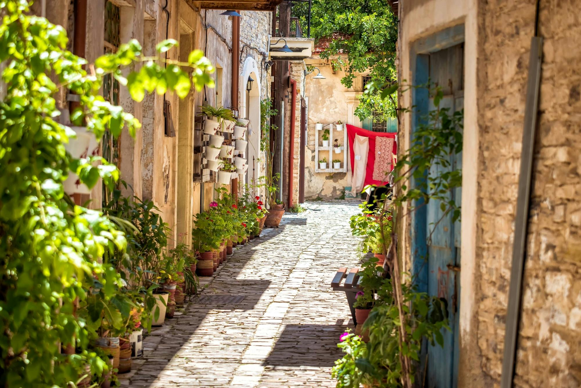 Full-day guided tour of Fikardou, Machairas and Lefkara