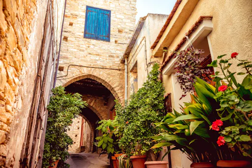 Full-day guided tour of Fikardou, Machairas and Lefkara