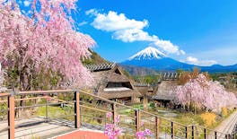 Mount Fuji top 4 must-visit attractions full day tour from Tokyo
