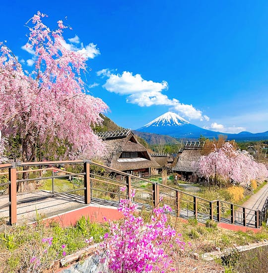 Mount Fuji top 4 must-visit attractions full day tour from Tokyo