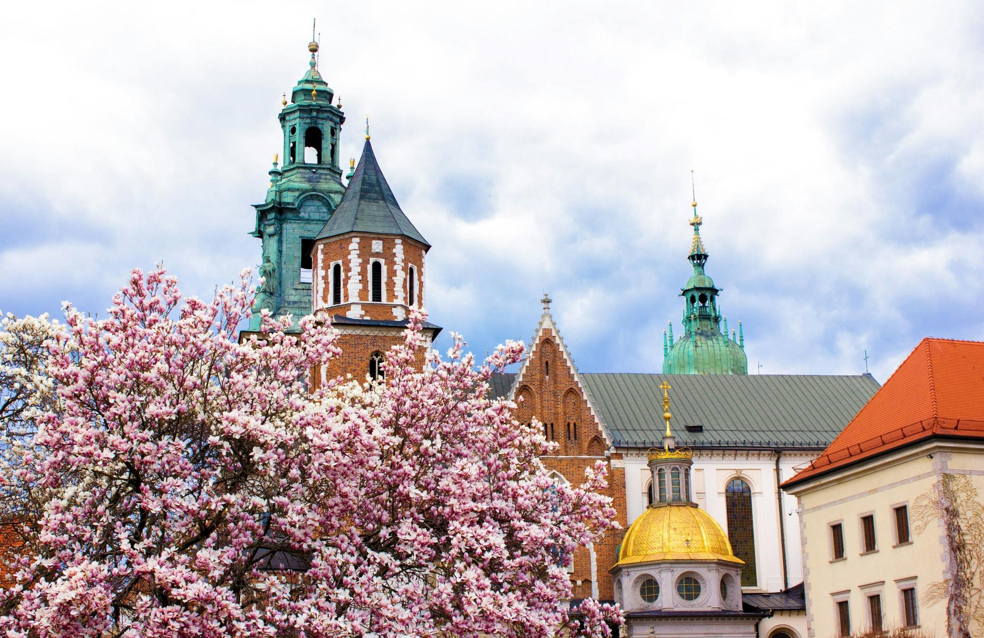 1 hour Tour of Krakow with a Local