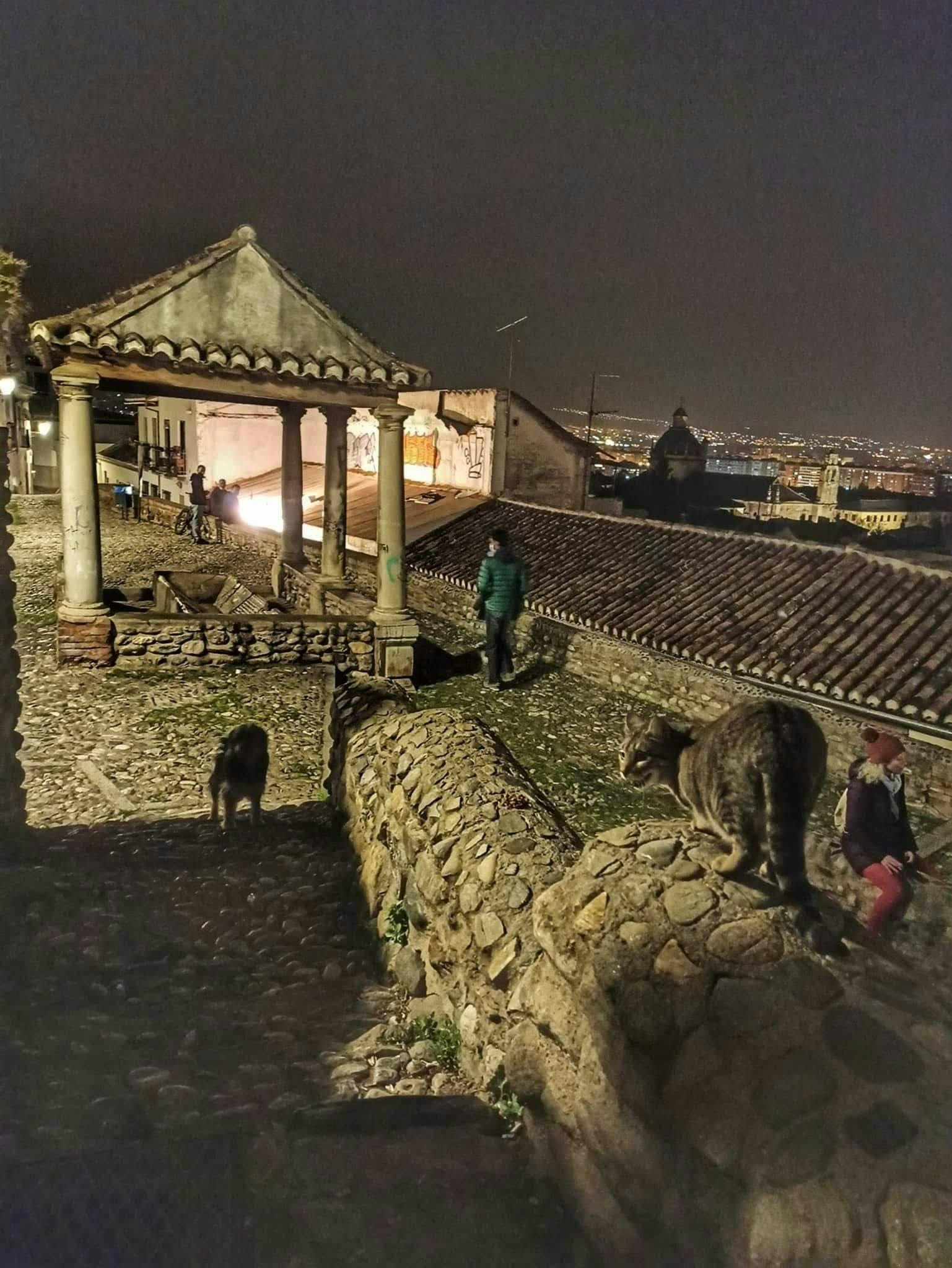 202505156825d184695e9.jpg