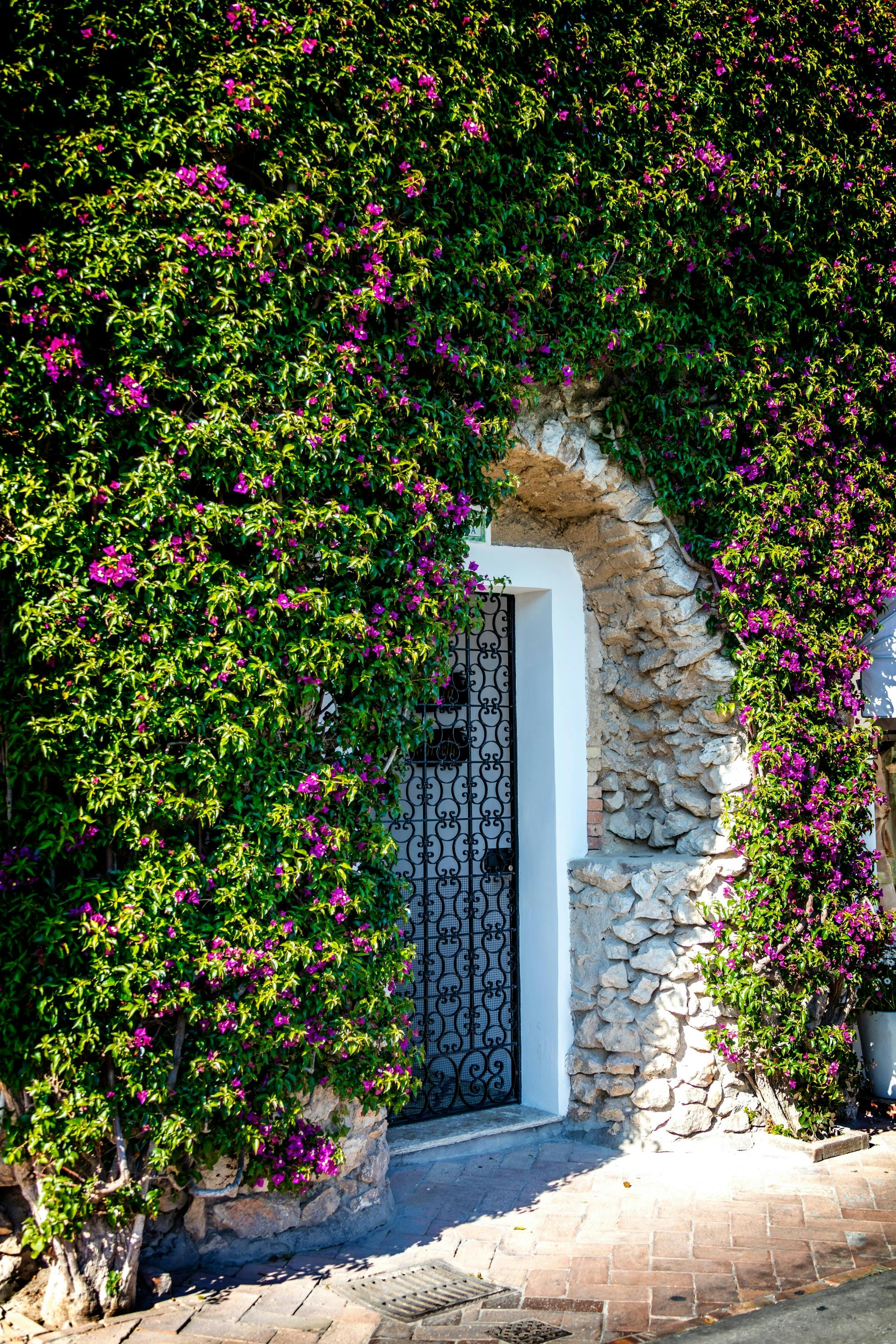 Capri Island walking tour from Ischia