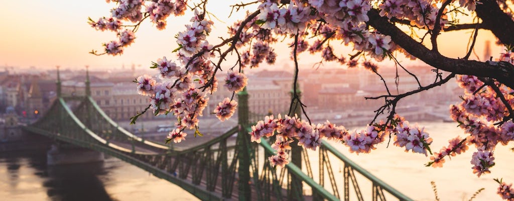 Guided tour to Budapest's photogenic places with a local