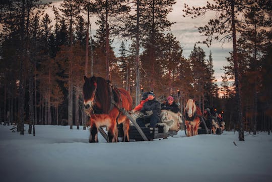 Winter horse-drawn sleigh ride with hot beverage in Trysil