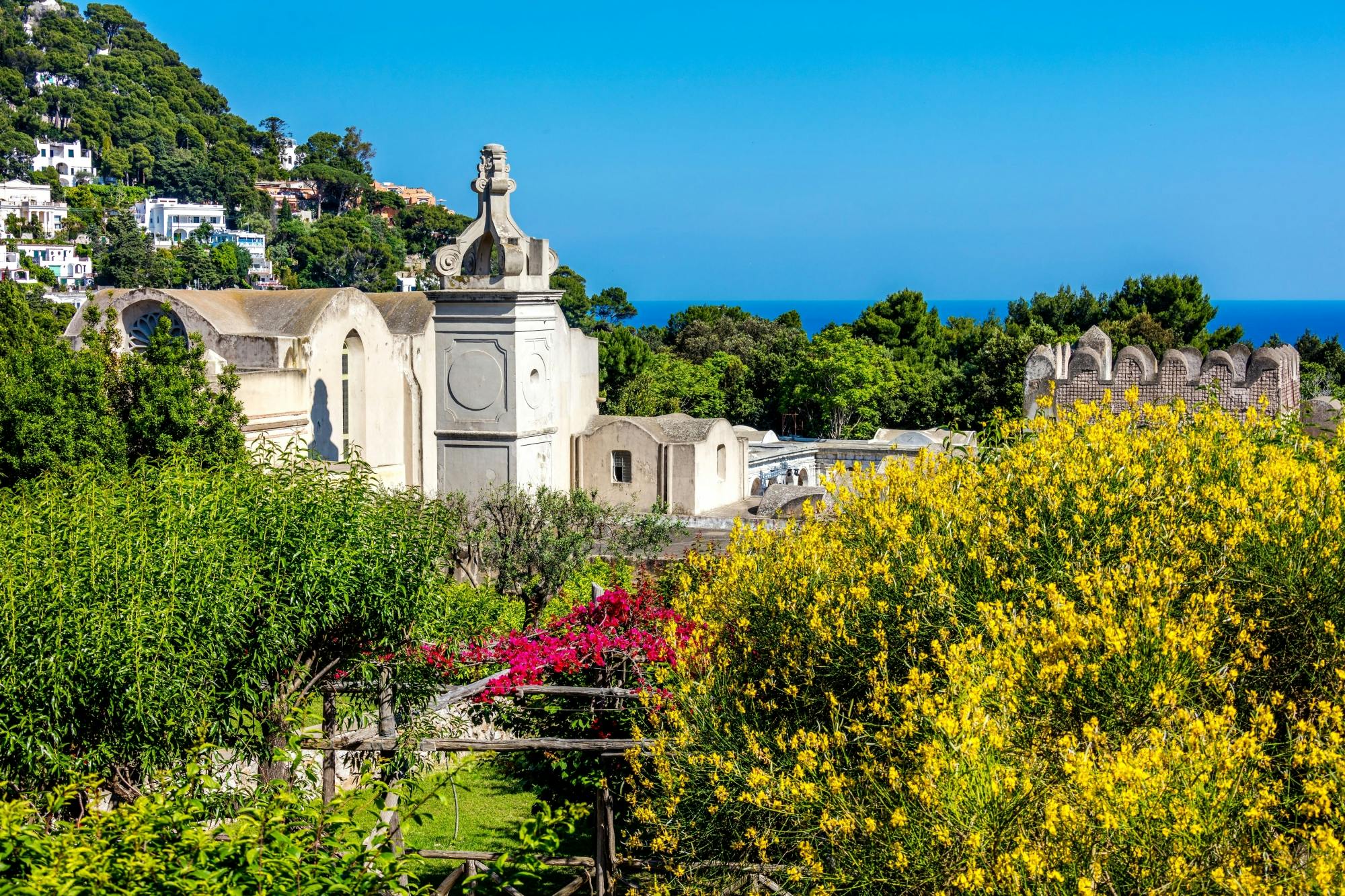 Capri Island walking tour from Ischia