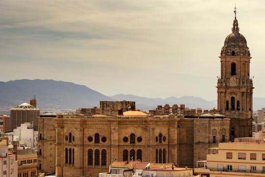 Visita guiada a los lugares fotogénicos de Málaga con un local