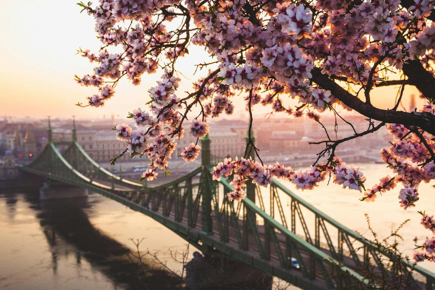 Budapest Instagram-Fotoerlebnis mit einem privaten Einheimischen