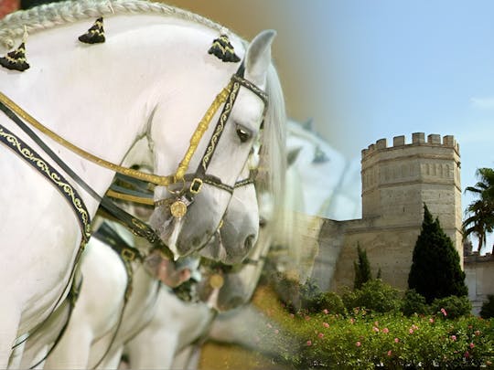 Jerez guided tour with Royal Andalusian School of Equestrian Art
