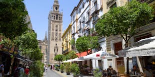 Guided Seville sightseeing and food tour with rooftop bar visit