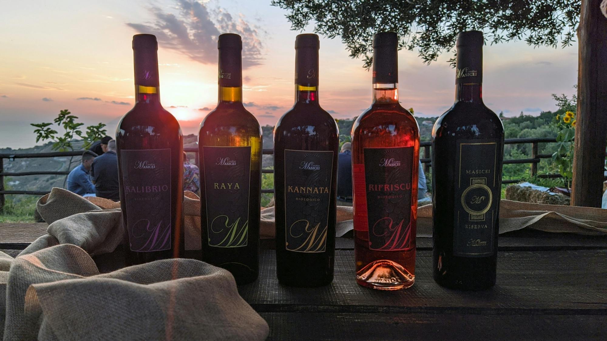 Afternoon vineyard tour and wine tasting in Calabria