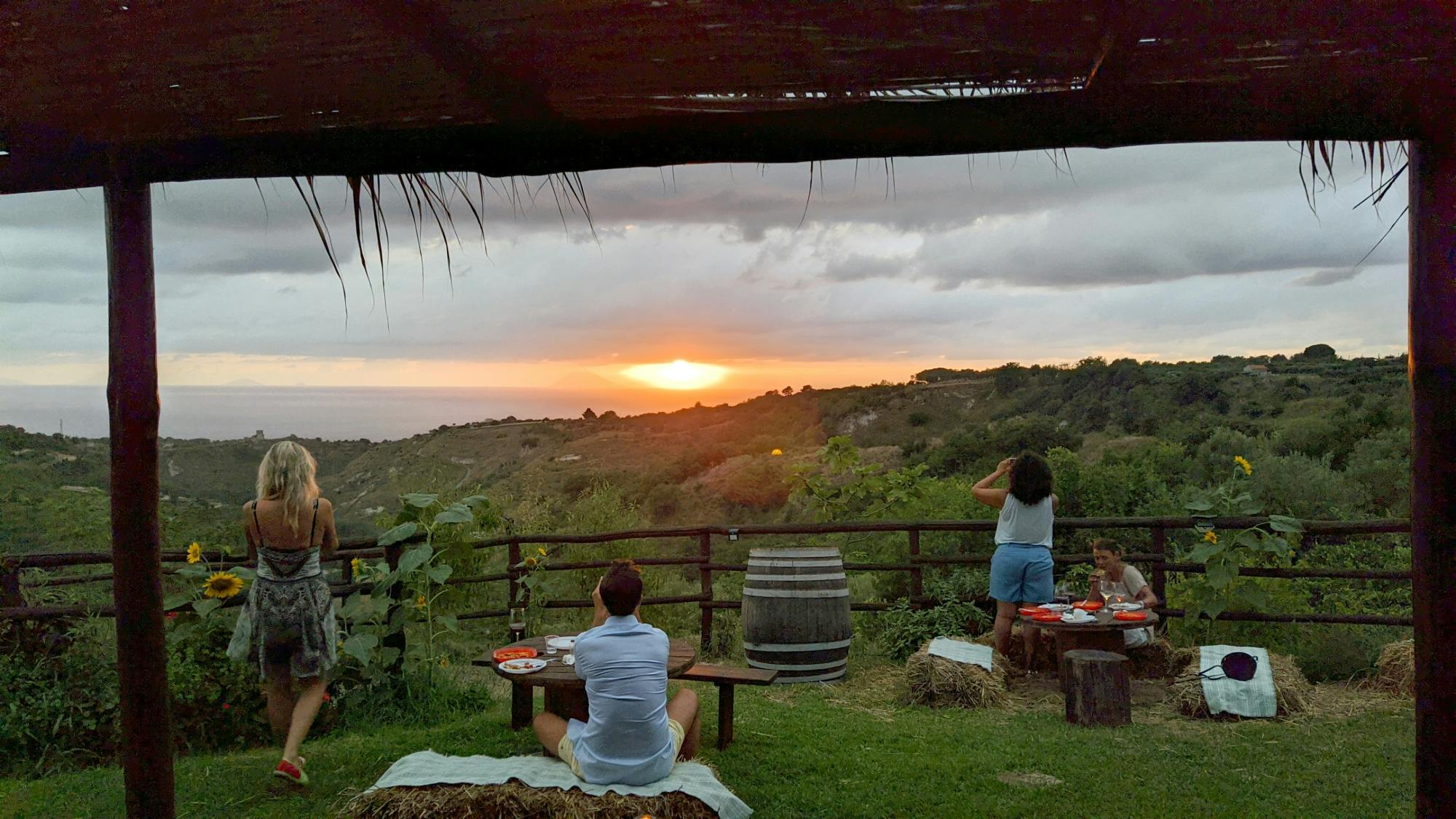 Afternoon vineyard tour and wine tasting in Calabria