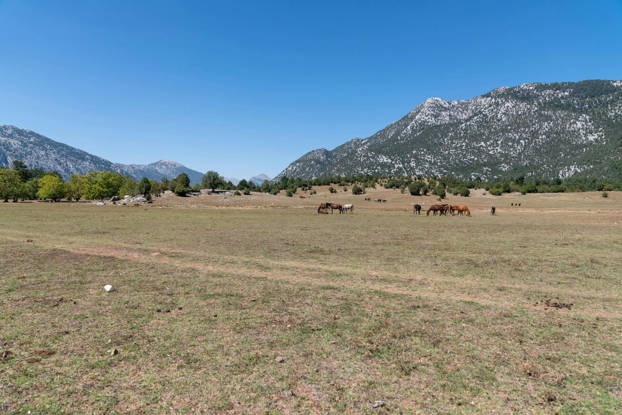 Small-group tour of Ormana and the Altrinbesik Caves in Antalya