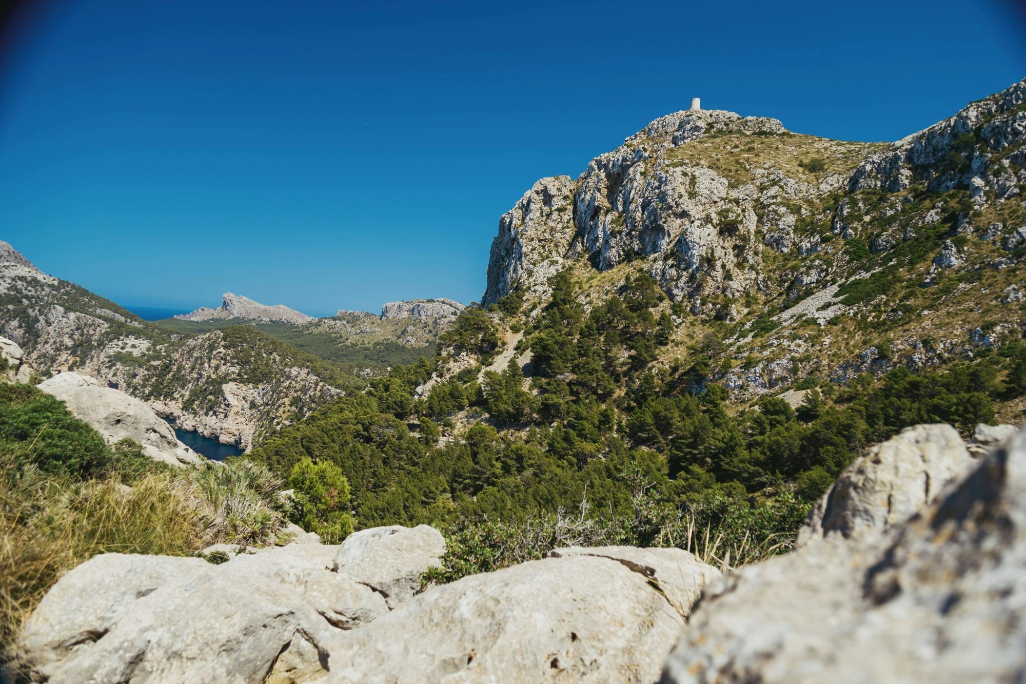 Sites & Bites: Es Colomer, Alcudia Market and Ensaimada tasting