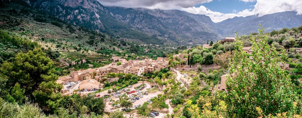 Sites & Bites: Fornalutx village tour with artisan ice-cream