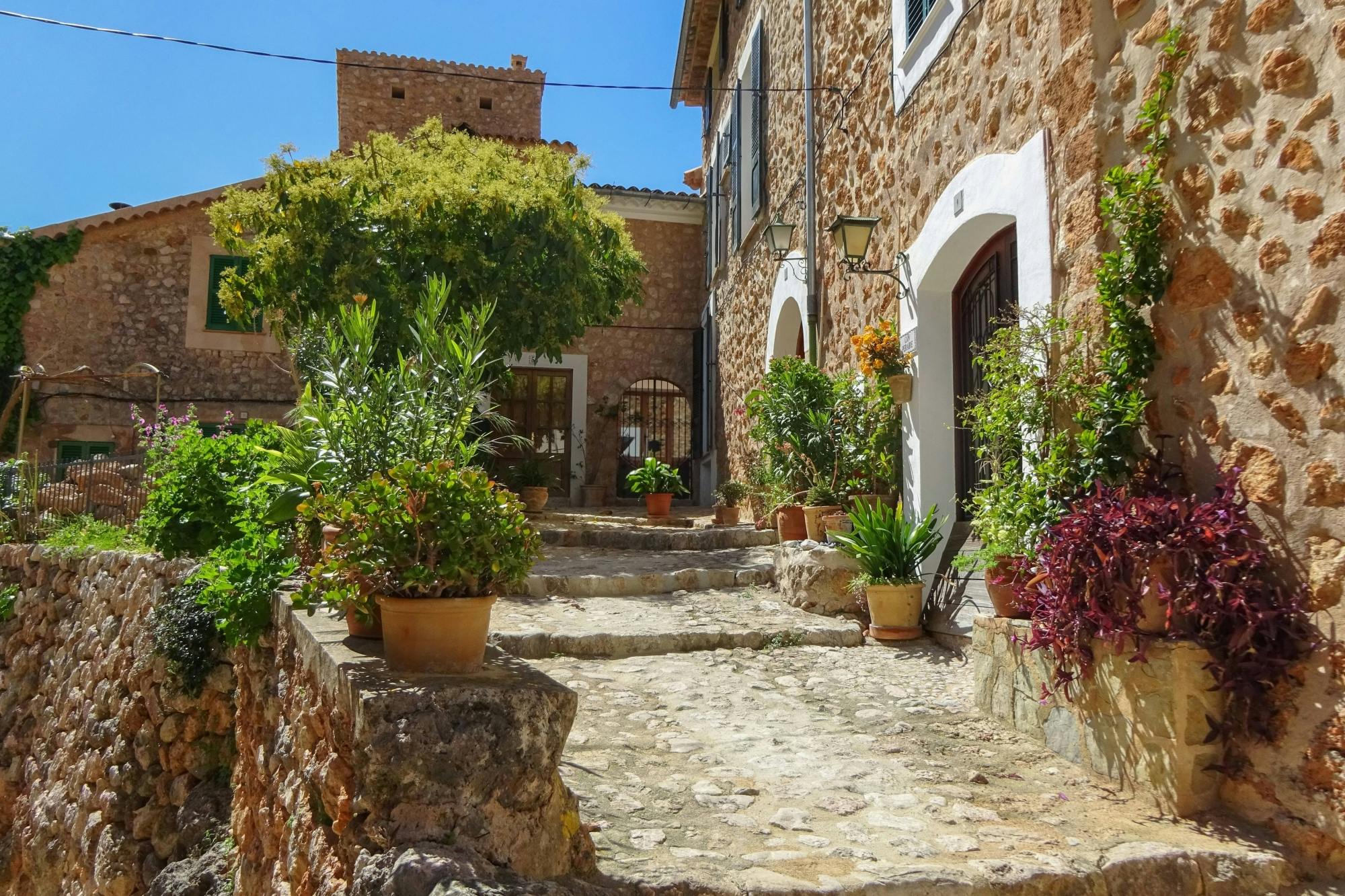 Sites & Bites: Fornalutx village tour with artisan ice-cream