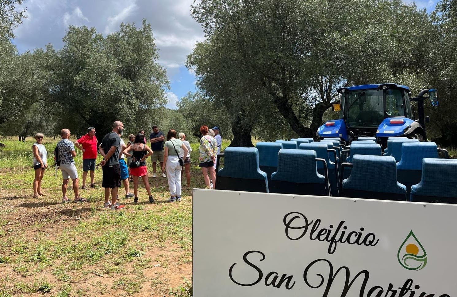 Full-day olive oil farm and Nicotera tour with Calabrian lunch