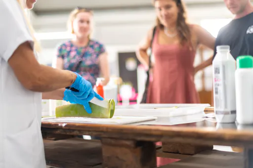 Fuerteventura Island Tour with Goat Farm Visit