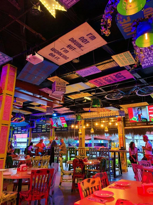 A trip to Señor Frog’s for Playa del Carmen