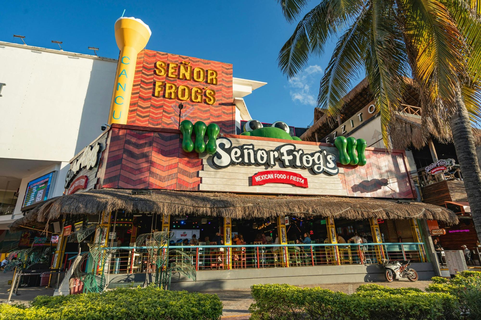 A trip to Señor Frog’s in Cancun