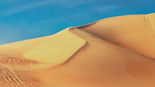 20250520682c3d4789d68.jpg
