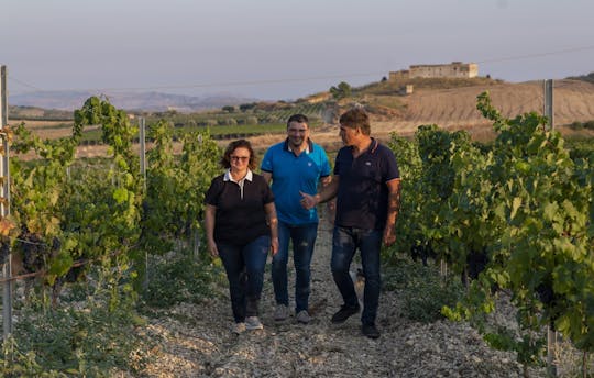 Wine and extra virgin olive oil tasting in the Agrigento countryside
