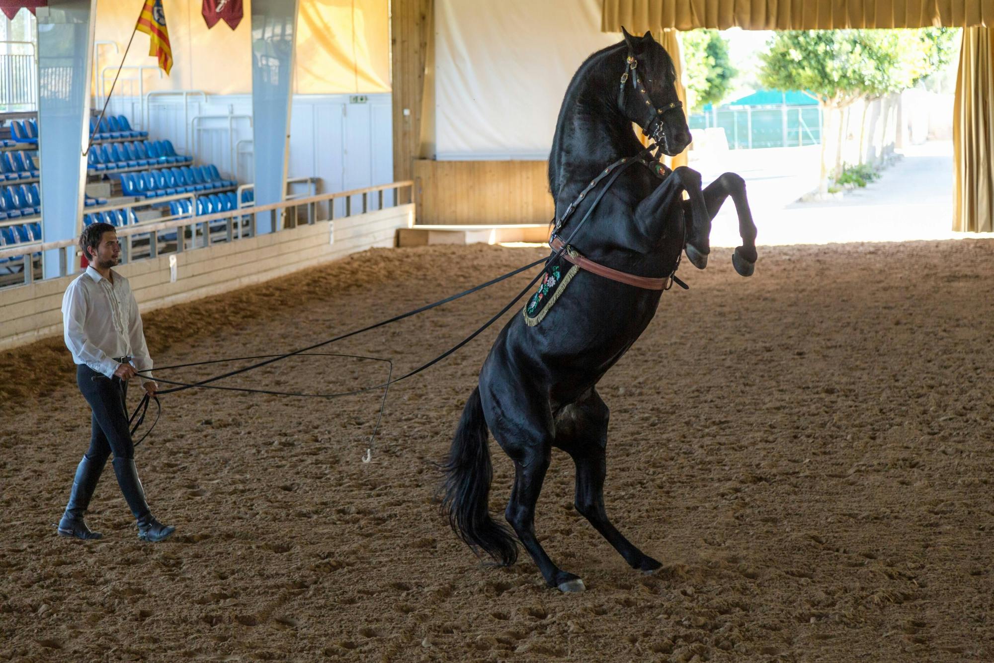 Menorca tour with Fornells, Binissues and Son Martorellet's horses