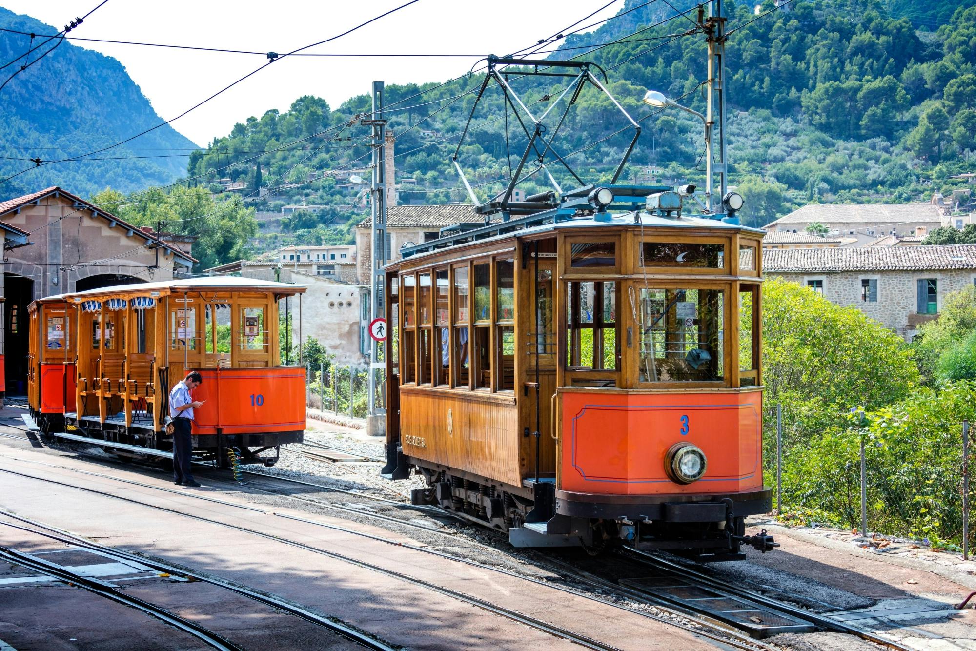Valldemossa, Son Marroig and Soller tour with historic train ride