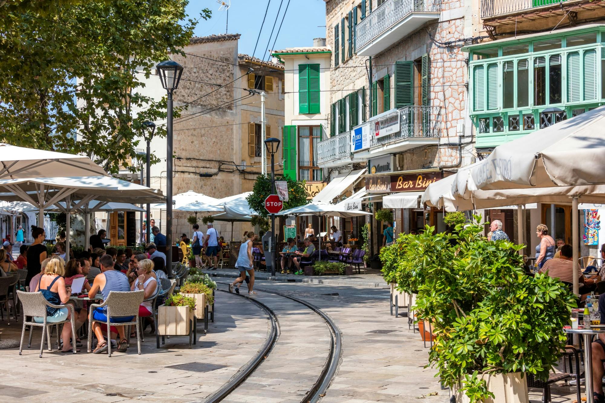 Valldemossa, Son Marroig and Soller tour with historic train ride