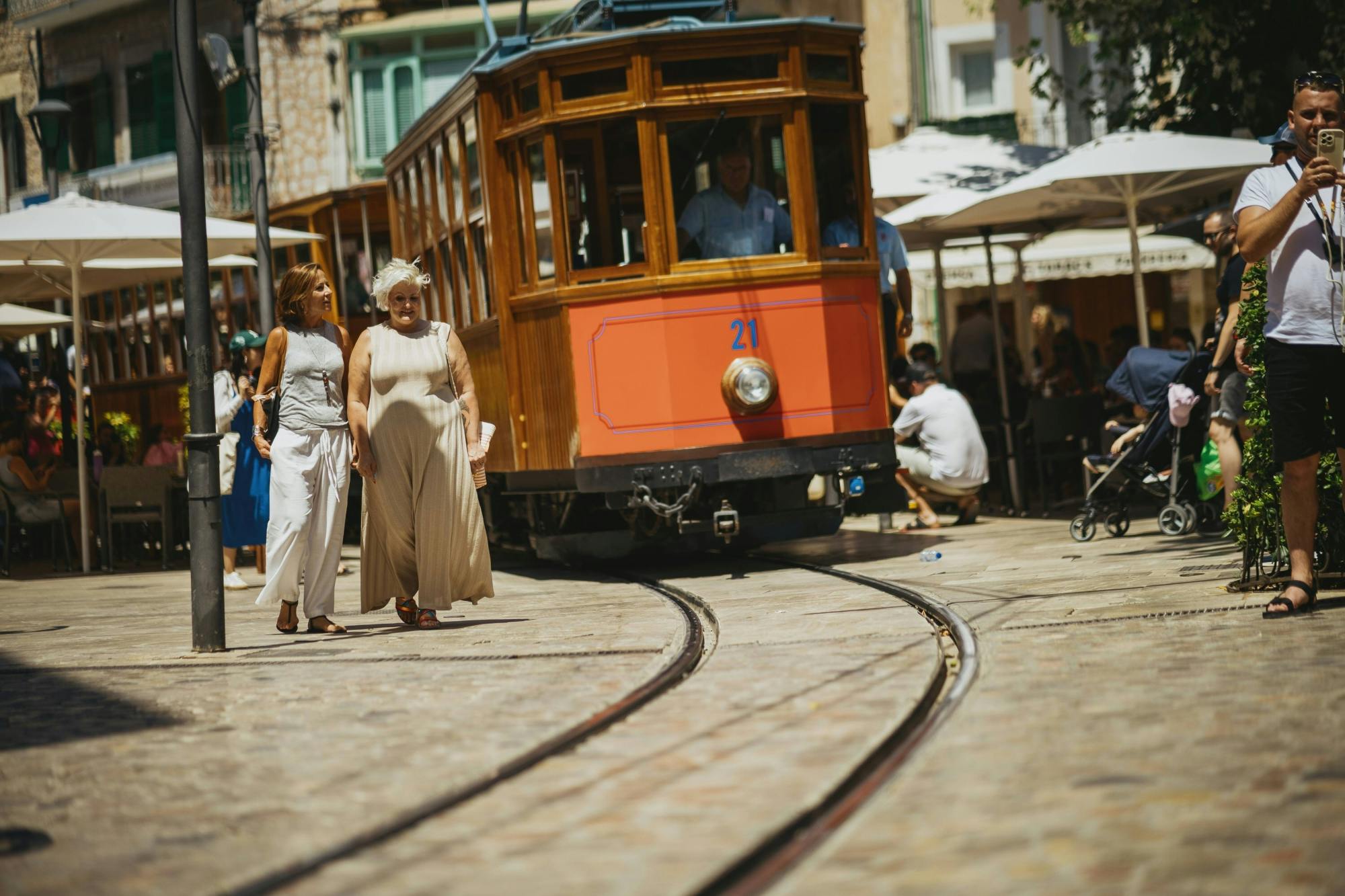 Valldemossa, Son Marroig and Soller tour with historic train ride