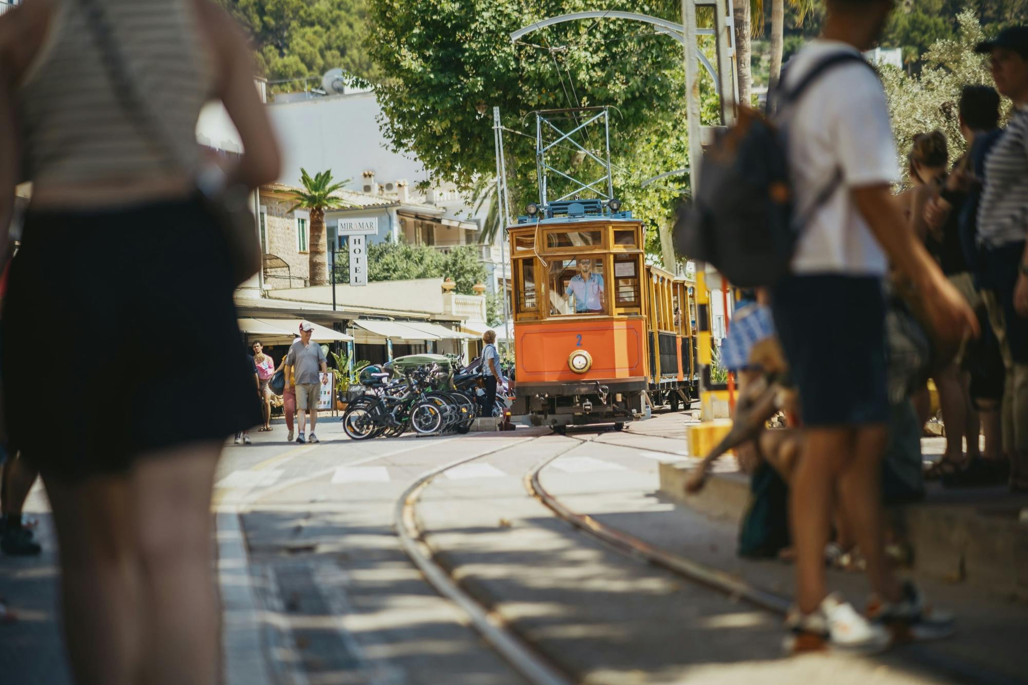 Valldemossa, Son Marroig and Soller tour with historic train ride