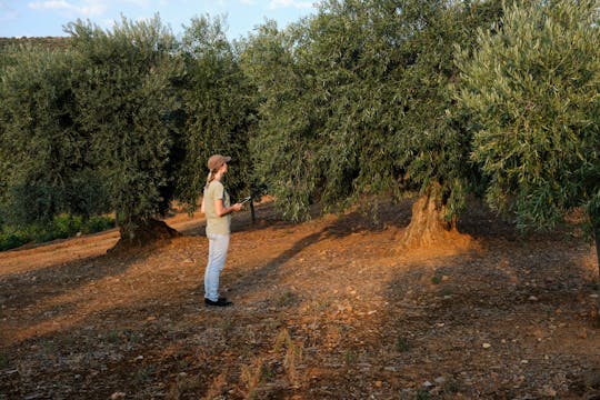 Nat Geo Day Tour: Flavours of Corfu, Cook with Locals at an Organic Farm