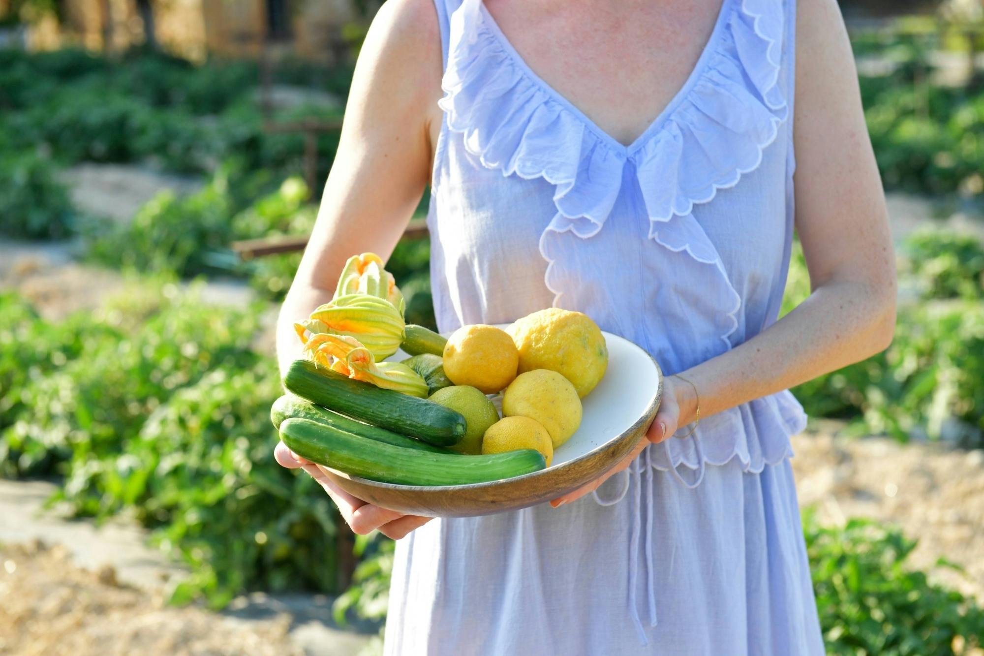 Nat Geo Day Tour: Flavours of Corfu, Cook with Locals at an Organic Farm