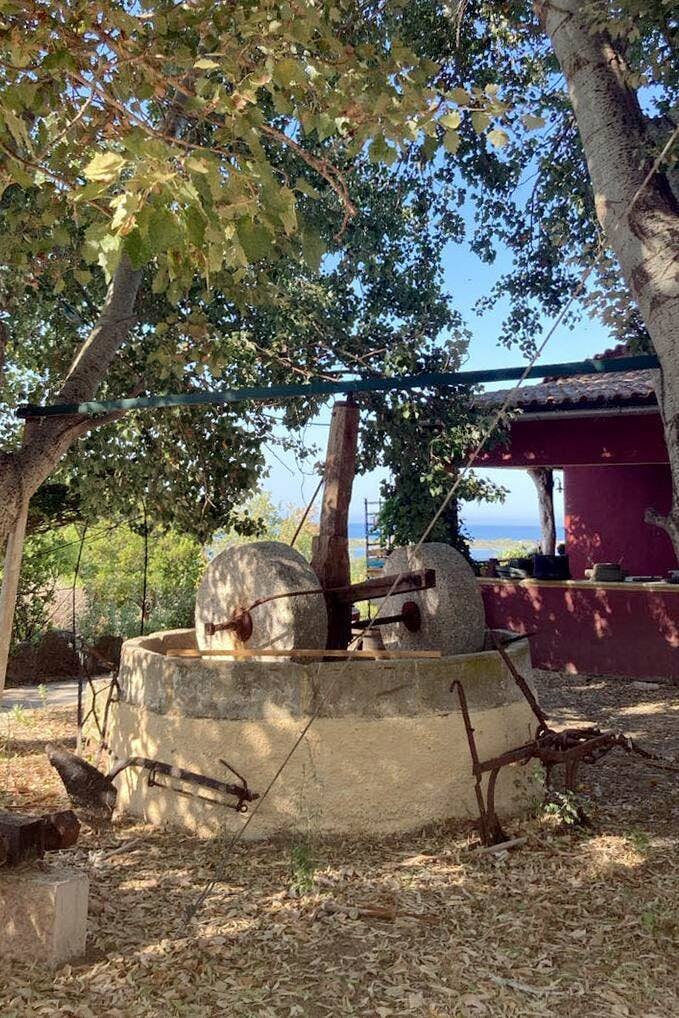 Nat Geo Day Tour: Flavours of Corfu, Cook with Locals at an Organic Farm