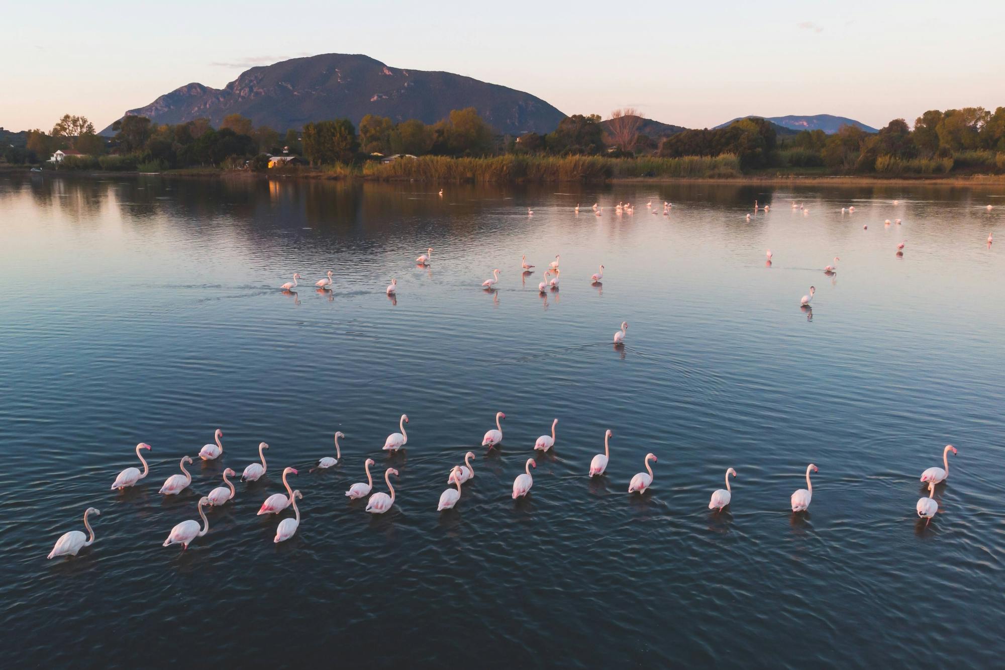 Nat Geo Day Tour: Flavours of Corfu, Cook with Locals at an Organic Farm