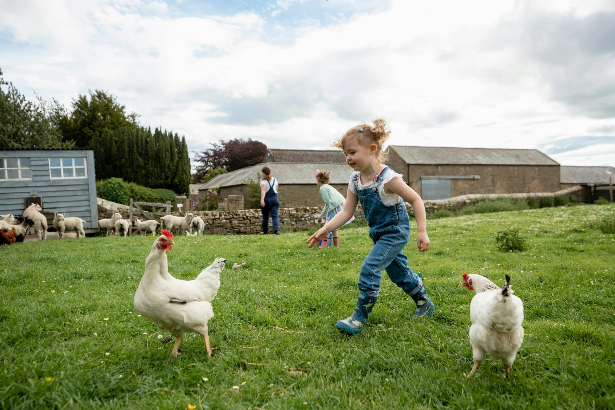 Nat Geo Day Tour: Flavours of Corfu, Cook with Locals at an Organic Farm