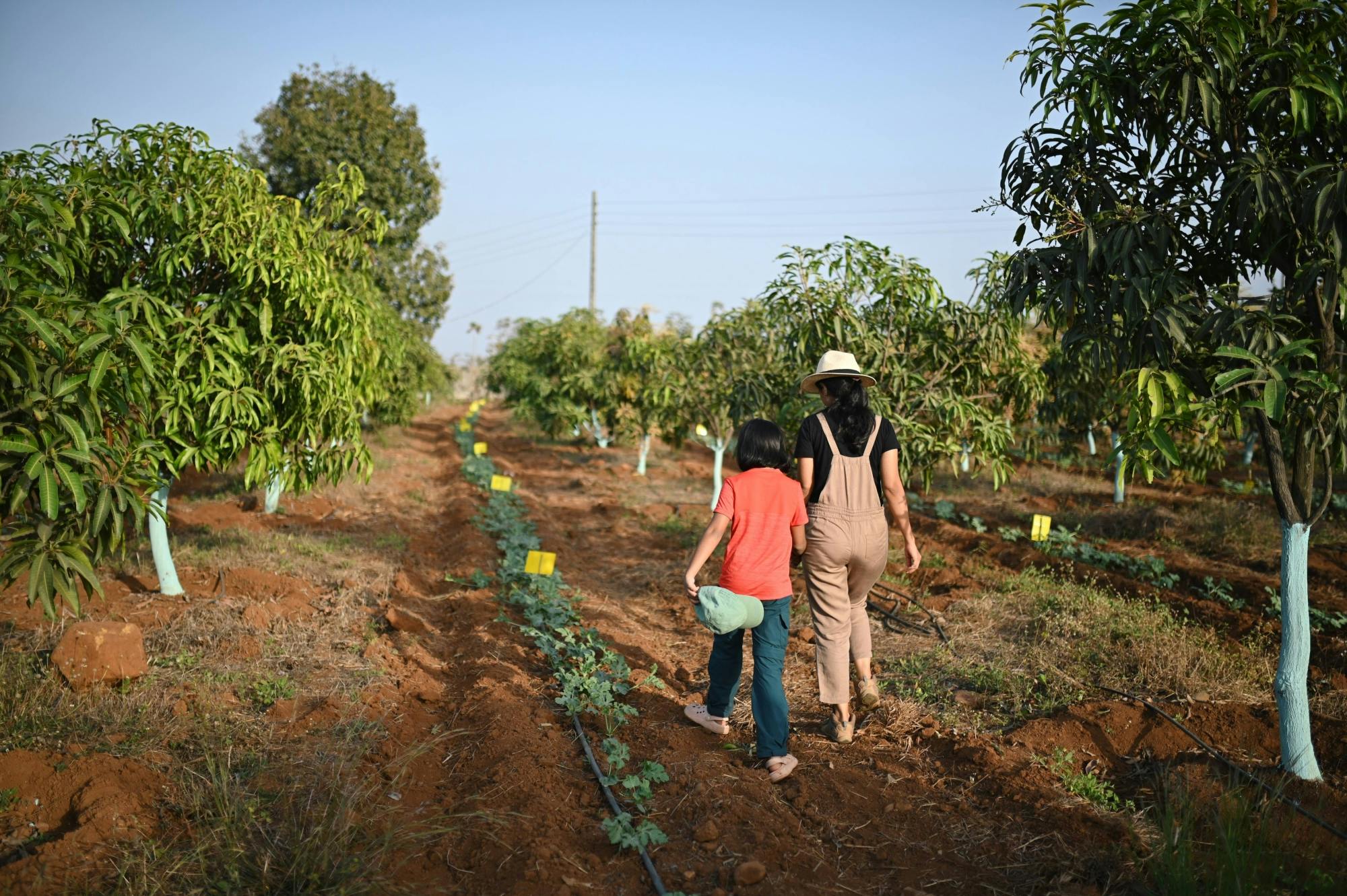 Nat Geo Day Tour: Flavours of Corfu, Cook with Locals at an Organic Farm