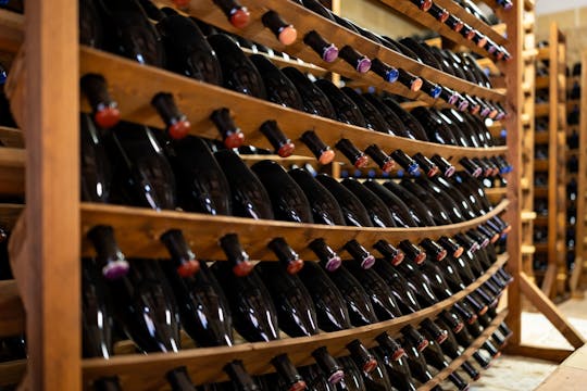 Mazara del Vallo wine experience