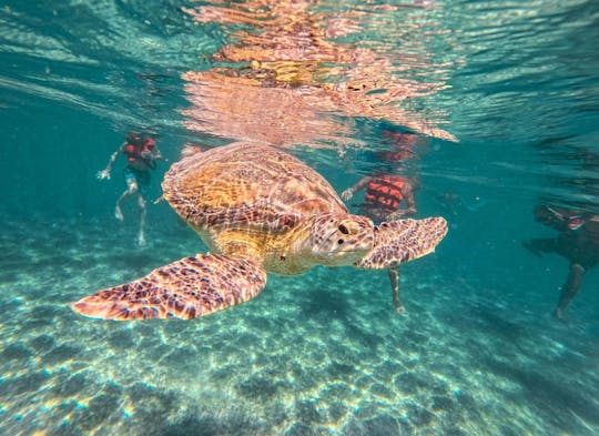 Riviera Maya exploration with Tulum, Akumal Bay, and Cenote visit